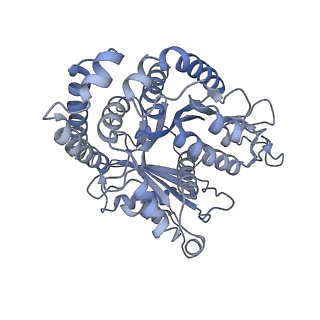 40220_8glv_J9_v1-2
96-nm repeat unit of doublet microtubules from Chlamydomonas reinhardtii flagella