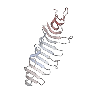 40220_8glv_JA_v1-2
96-nm repeat unit of doublet microtubules from Chlamydomonas reinhardtii flagella