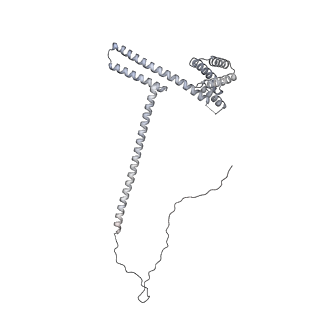 40220_8glv_JB_v1-2
96-nm repeat unit of doublet microtubules from Chlamydomonas reinhardtii flagella