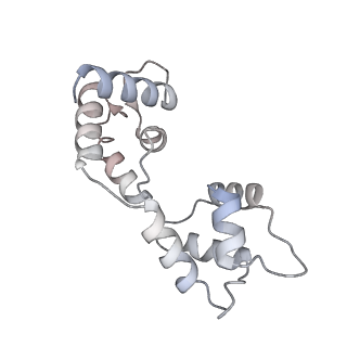 40220_8glv_JC_v1-2
96-nm repeat unit of doublet microtubules from Chlamydomonas reinhardtii flagella