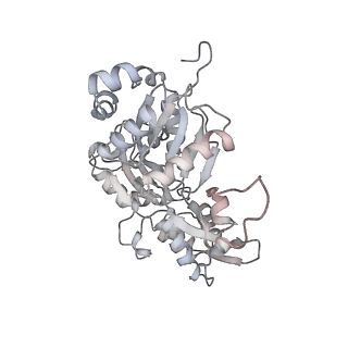 40220_8glv_JD_v1-2
96-nm repeat unit of doublet microtubules from Chlamydomonas reinhardtii flagella
