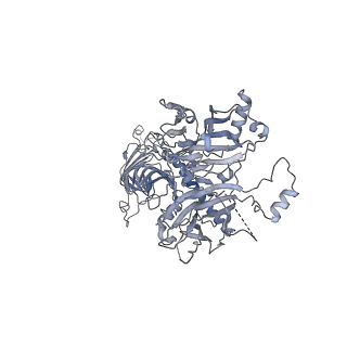 40220_8glv_JH_v1-2
96-nm repeat unit of doublet microtubules from Chlamydomonas reinhardtii flagella
