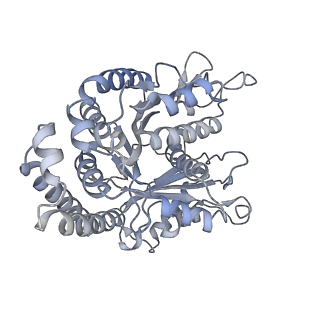40220_8glv_JI_v1-2
96-nm repeat unit of doublet microtubules from Chlamydomonas reinhardtii flagella