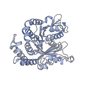 40220_8glv_JJ_v1-2
96-nm repeat unit of doublet microtubules from Chlamydomonas reinhardtii flagella