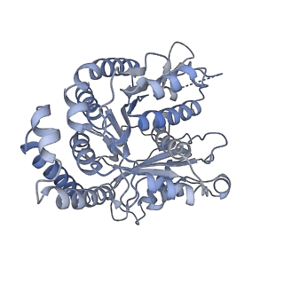 40220_8glv_JK_v1-2
96-nm repeat unit of doublet microtubules from Chlamydomonas reinhardtii flagella