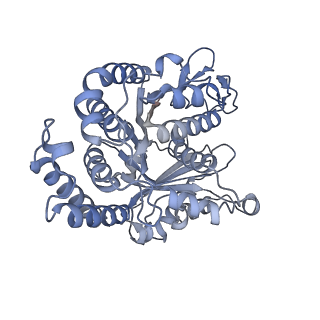 40220_8glv_JL_v1-2
96-nm repeat unit of doublet microtubules from Chlamydomonas reinhardtii flagella