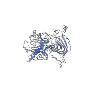 40220_8glv_JM_v1-2
96-nm repeat unit of doublet microtubules from Chlamydomonas reinhardtii flagella