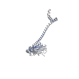 40220_8glv_JN_v1-2
96-nm repeat unit of doublet microtubules from Chlamydomonas reinhardtii flagella
