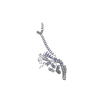 40220_8glv_JO_v1-2
96-nm repeat unit of doublet microtubules from Chlamydomonas reinhardtii flagella