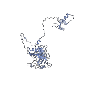 40220_8glv_JS_v1-2
96-nm repeat unit of doublet microtubules from Chlamydomonas reinhardtii flagella