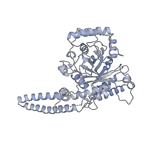 40220_8glv_JT_v1-2
96-nm repeat unit of doublet microtubules from Chlamydomonas reinhardtii flagella