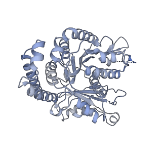 40220_8glv_JV_v1-2
96-nm repeat unit of doublet microtubules from Chlamydomonas reinhardtii flagella