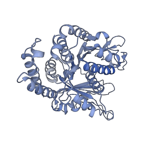 40220_8glv_JW_v1-2
96-nm repeat unit of doublet microtubules from Chlamydomonas reinhardtii flagella