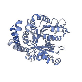 40220_8glv_JX_v1-2
96-nm repeat unit of doublet microtubules from Chlamydomonas reinhardtii flagella