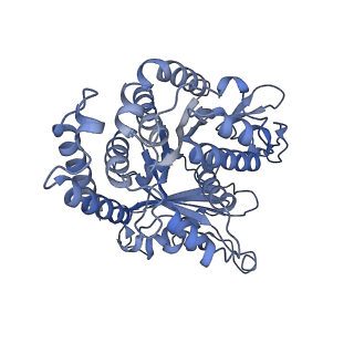 40220_8glv_JY_v1-2
96-nm repeat unit of doublet microtubules from Chlamydomonas reinhardtii flagella