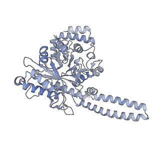 40220_8glv_JZ_v1-2
96-nm repeat unit of doublet microtubules from Chlamydomonas reinhardtii flagella