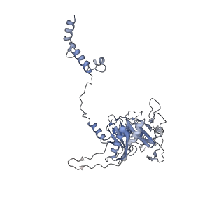 40220_8glv_Ja_v1-2
96-nm repeat unit of doublet microtubules from Chlamydomonas reinhardtii flagella