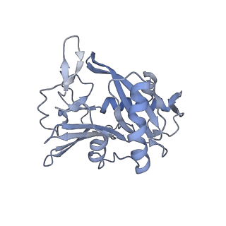 40220_8glv_Jc_v1-2
96-nm repeat unit of doublet microtubules from Chlamydomonas reinhardtii flagella