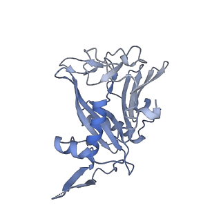 40220_8glv_Jd_v1-2
96-nm repeat unit of doublet microtubules from Chlamydomonas reinhardtii flagella