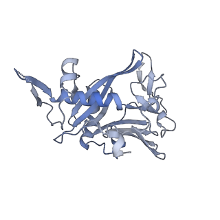 40220_8glv_Je_v1-2
96-nm repeat unit of doublet microtubules from Chlamydomonas reinhardtii flagella
