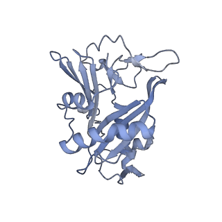 40220_8glv_Jf_v1-2
96-nm repeat unit of doublet microtubules from Chlamydomonas reinhardtii flagella