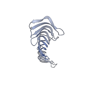 40220_8glv_Jg_v1-2
96-nm repeat unit of doublet microtubules from Chlamydomonas reinhardtii flagella