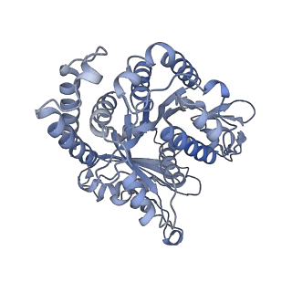 40220_8glv_Jh_v1-2
96-nm repeat unit of doublet microtubules from Chlamydomonas reinhardtii flagella