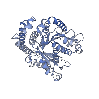 40220_8glv_Ji_v1-2
96-nm repeat unit of doublet microtubules from Chlamydomonas reinhardtii flagella