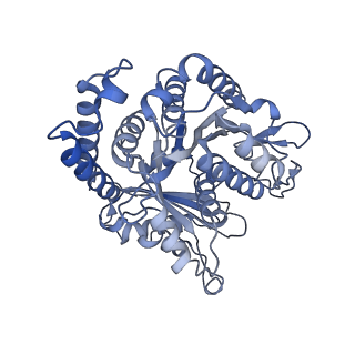40220_8glv_Jj_v1-2
96-nm repeat unit of doublet microtubules from Chlamydomonas reinhardtii flagella