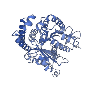 40220_8glv_Jk_v1-2
96-nm repeat unit of doublet microtubules from Chlamydomonas reinhardtii flagella