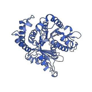 40220_8glv_Jl_v1-2
96-nm repeat unit of doublet microtubules from Chlamydomonas reinhardtii flagella