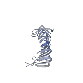 40220_8glv_Jm_v1-2
96-nm repeat unit of doublet microtubules from Chlamydomonas reinhardtii flagella