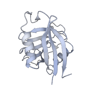 40220_8glv_Jn_v1-2
96-nm repeat unit of doublet microtubules from Chlamydomonas reinhardtii flagella