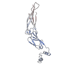 40220_8glv_Jo_v1-2
96-nm repeat unit of doublet microtubules from Chlamydomonas reinhardtii flagella