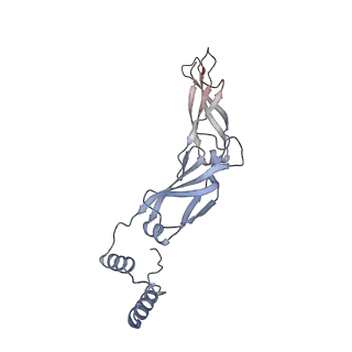 40220_8glv_Jp_v1-2
96-nm repeat unit of doublet microtubules from Chlamydomonas reinhardtii flagella