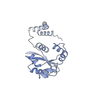 40220_8glv_Jq_v1-2
96-nm repeat unit of doublet microtubules from Chlamydomonas reinhardtii flagella