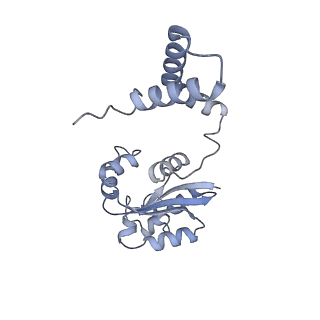 40220_8glv_Jr_v1-2
96-nm repeat unit of doublet microtubules from Chlamydomonas reinhardtii flagella