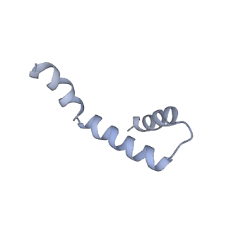40220_8glv_Jt_v1-2
96-nm repeat unit of doublet microtubules from Chlamydomonas reinhardtii flagella