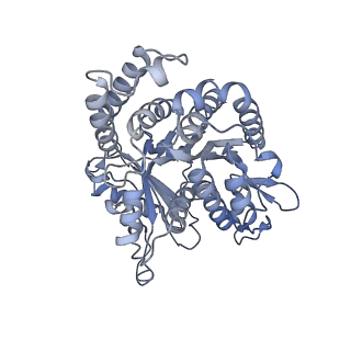 40220_8glv_Ju_v1-2
96-nm repeat unit of doublet microtubules from Chlamydomonas reinhardtii flagella