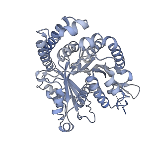 40220_8glv_Jv_v1-2
96-nm repeat unit of doublet microtubules from Chlamydomonas reinhardtii flagella