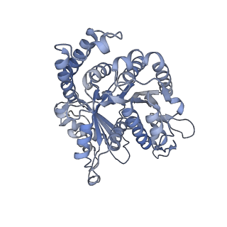 40220_8glv_Jw_v1-2
96-nm repeat unit of doublet microtubules from Chlamydomonas reinhardtii flagella