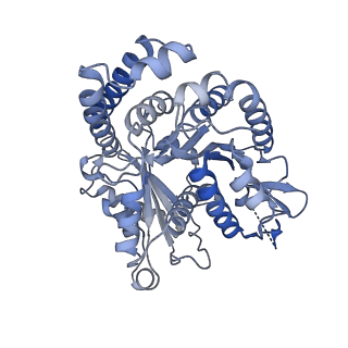 40220_8glv_Jx_v1-2
96-nm repeat unit of doublet microtubules from Chlamydomonas reinhardtii flagella