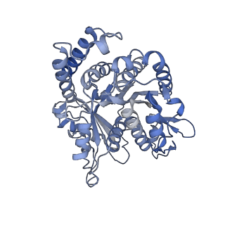 40220_8glv_Jy_v1-2
96-nm repeat unit of doublet microtubules from Chlamydomonas reinhardtii flagella
