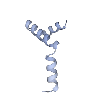 40220_8glv_Jz_v1-2
96-nm repeat unit of doublet microtubules from Chlamydomonas reinhardtii flagella