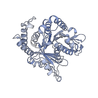40220_8glv_K0_v1-2
96-nm repeat unit of doublet microtubules from Chlamydomonas reinhardtii flagella