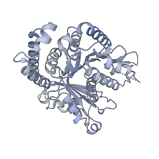 40220_8glv_K1_v1-2
96-nm repeat unit of doublet microtubules from Chlamydomonas reinhardtii flagella