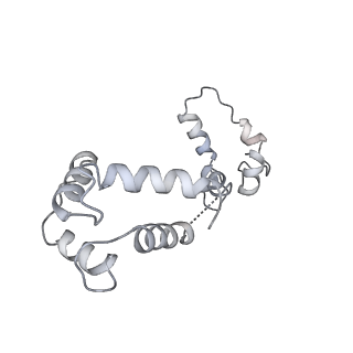 40220_8glv_K2_v1-2
96-nm repeat unit of doublet microtubules from Chlamydomonas reinhardtii flagella