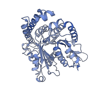 40220_8glv_K3_v1-2
96-nm repeat unit of doublet microtubules from Chlamydomonas reinhardtii flagella