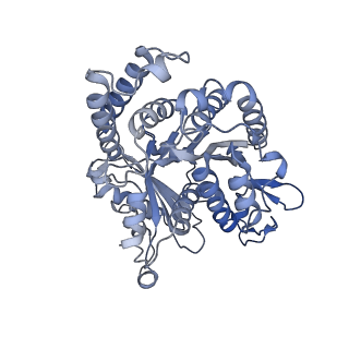 40220_8glv_K4_v1-2
96-nm repeat unit of doublet microtubules from Chlamydomonas reinhardtii flagella