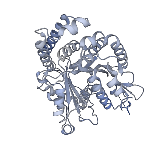 40220_8glv_K5_v1-2
96-nm repeat unit of doublet microtubules from Chlamydomonas reinhardtii flagella